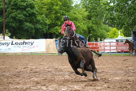 OrangeCampdraft2016_2656