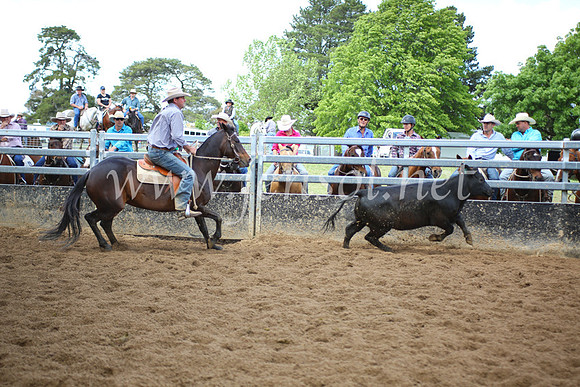 OrangeCampdraft5D_4077