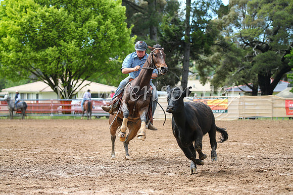 OrangeCampdraft2016_2409