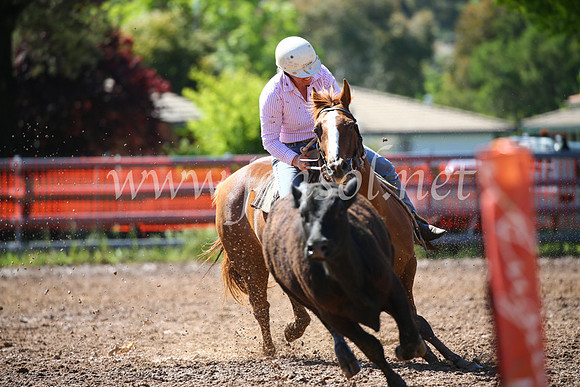 OrangeCampdraft2016_2282