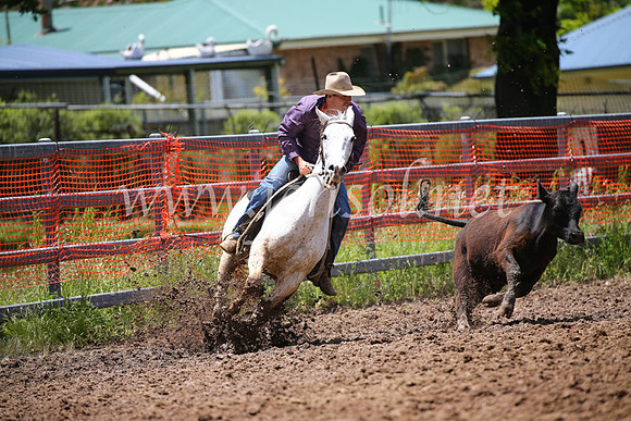 OrangeCampdraft2016_3036