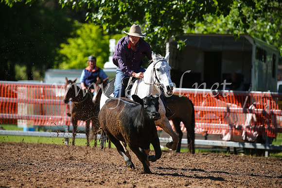 OrangeCampdraft2016_2058