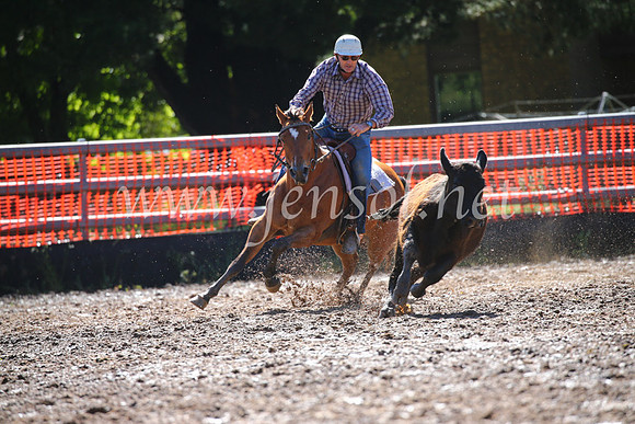 OrangeCampdraft2016_2201