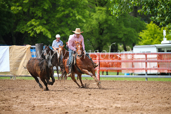 OrangeCampdraft2016_2384