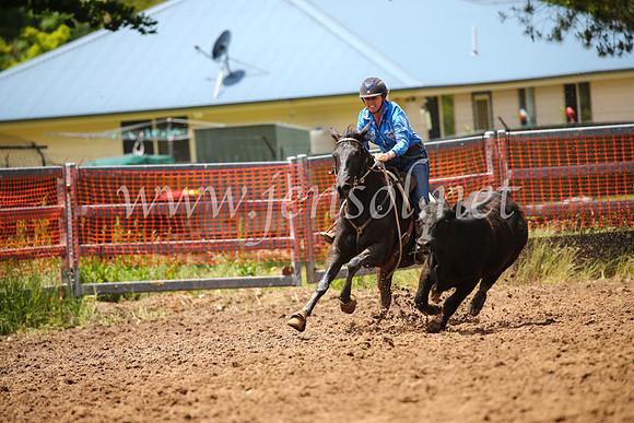 OrangeCampdraft2016_3058