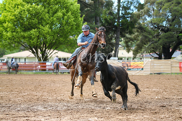 OrangeCampdraft2016_2406