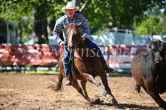 OrangeCampdraft2016_2242