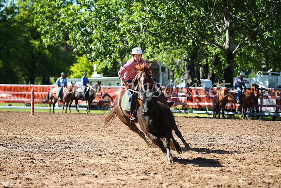 OrangeCampdraft2016_2220