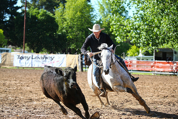 OrangeCampdraft2016_2034