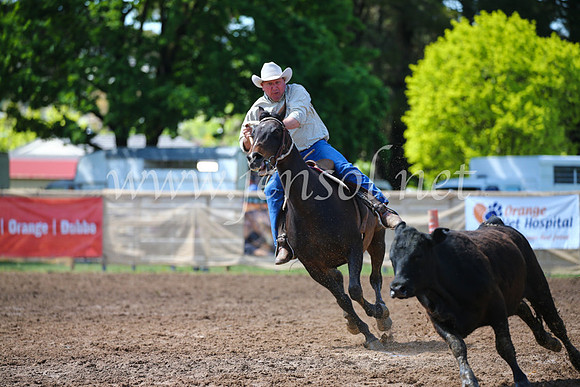 OrangeCampdraft2016_2362