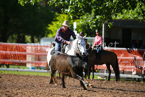 OrangeCampdraft2016_2063