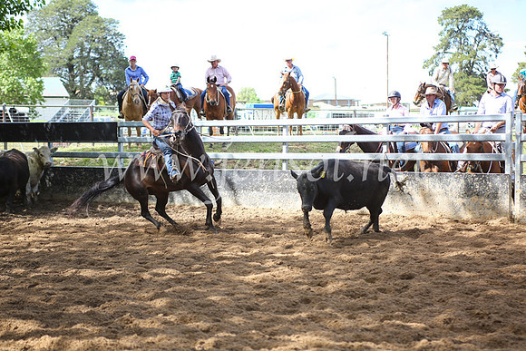 OrangeCampdraft5D_4021