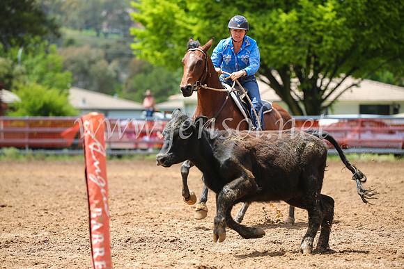 OrangeCampdraft2016_2611