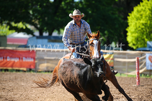 OrangeCampdraft2016_2234