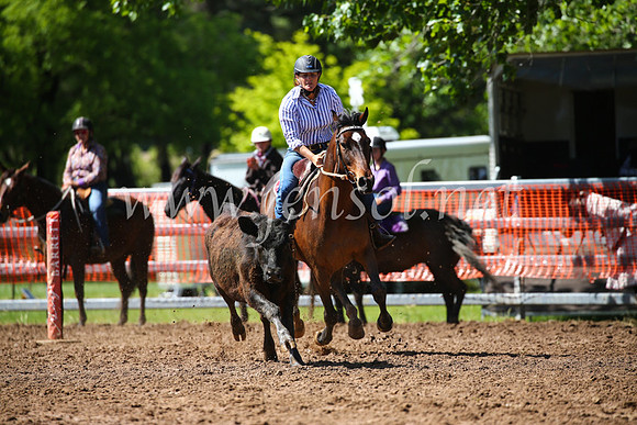 OrangeCampdraft2016_2338