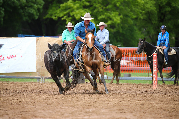 OrangeCampdraft2016_2857