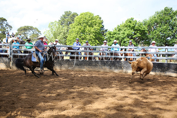 OrangeCampdraft5D_4080