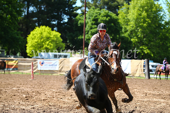 OrangeCampdraft2016_2319