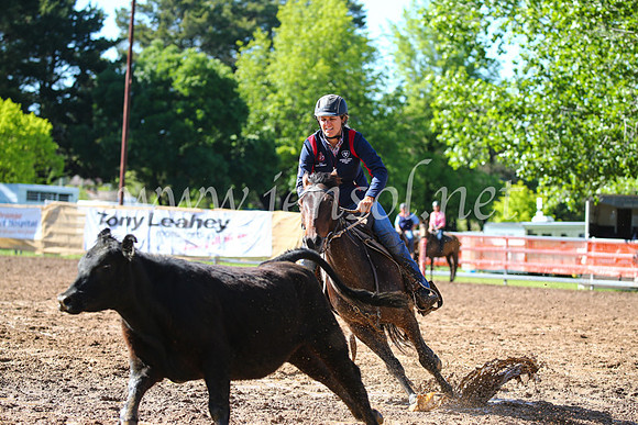 OrangeCampdraft2016_2043