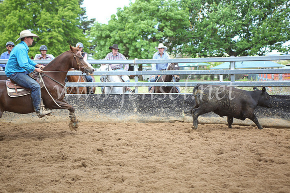 OrangeCampdraft5D_4110