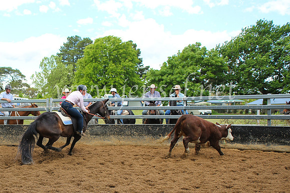 OrangeCampdraft5D_4035