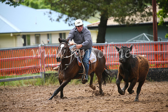 OrangeCampdraft2016_2555