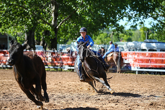 OrangeCampdraft2016_2130