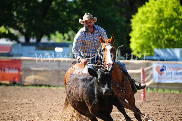 OrangeCampdraft2016_2231