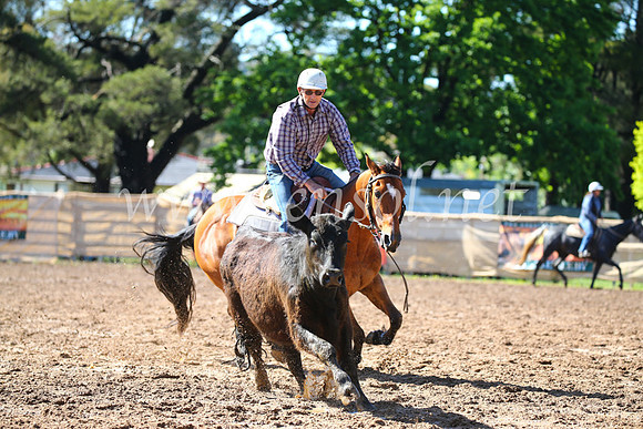 OrangeCampdraft2016_2194