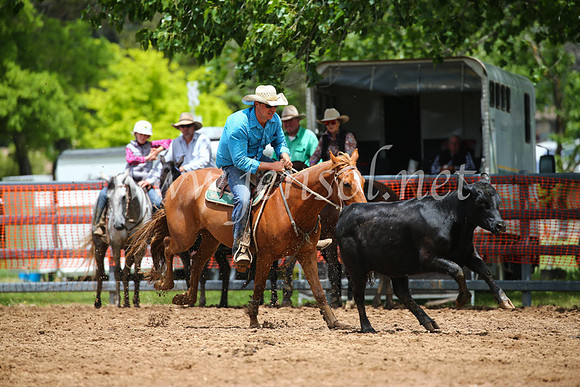 OrangeCampdraft2016_3129