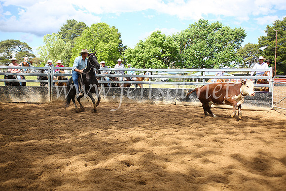OrangeCampdraft5D_4047