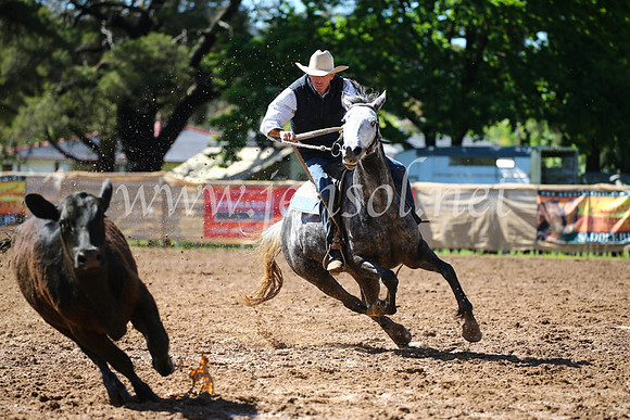 OrangeCampdraft2016_2303