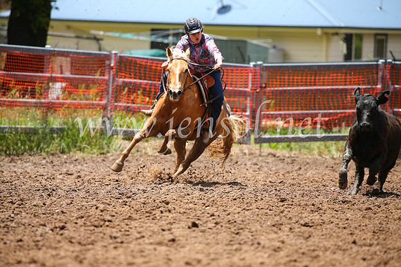 OrangeCampdraft2016_2896