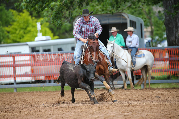 OrangeCampdraft2016_2960