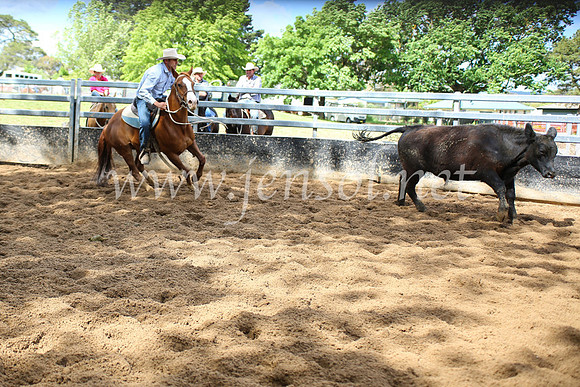 OrangeCampdraft5D_4059