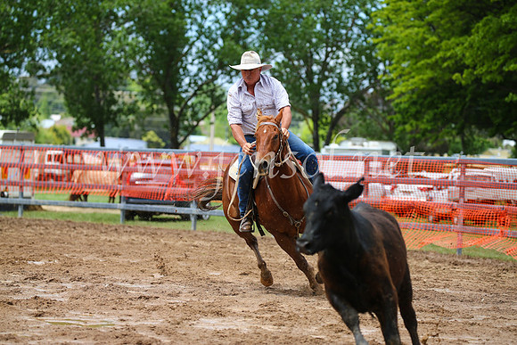 OrangeCampdraft2016_2517