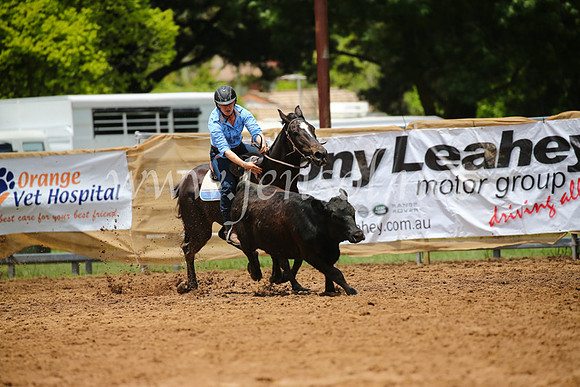 OrangeCampdraft2016_2789
