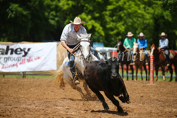 OrangeCampdraft2016_2725