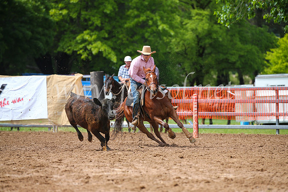 OrangeCampdraft2016_2385