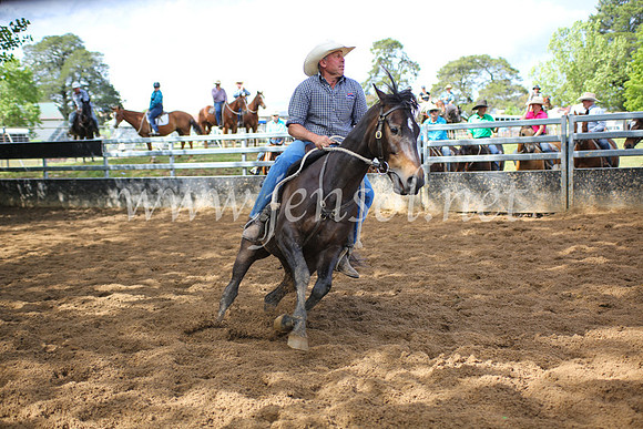 OrangeCampdraft5D_4079