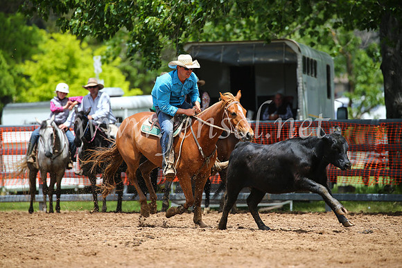OrangeCampdraft2016_3128