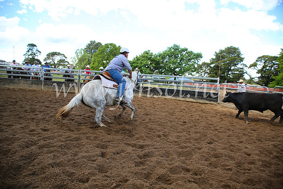 OrangeCampdraft5D_4009