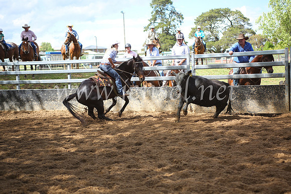 OrangeCampdraft5D_4018