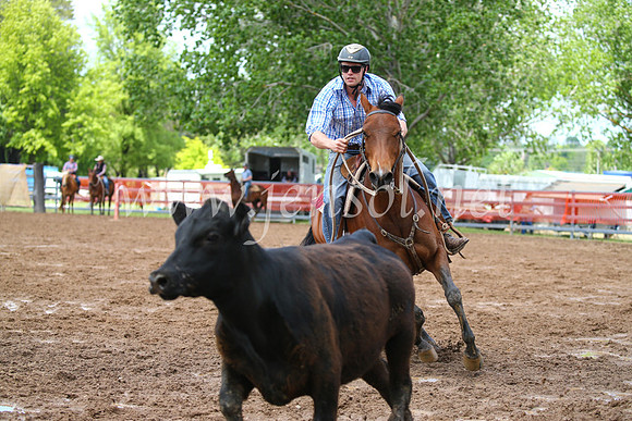 OrangeCampdraft2016_2660