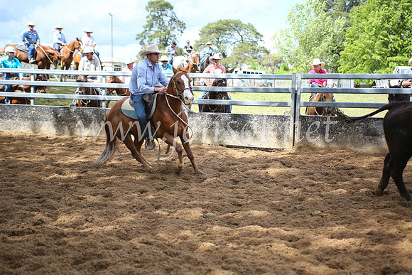 OrangeCampdraft5D_4055