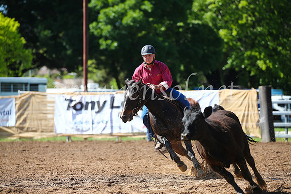 OrangeCampdraft2016_2257