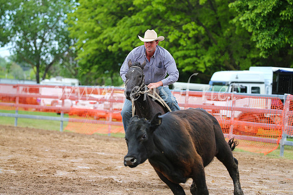 OrangeCampdraft2016_2563