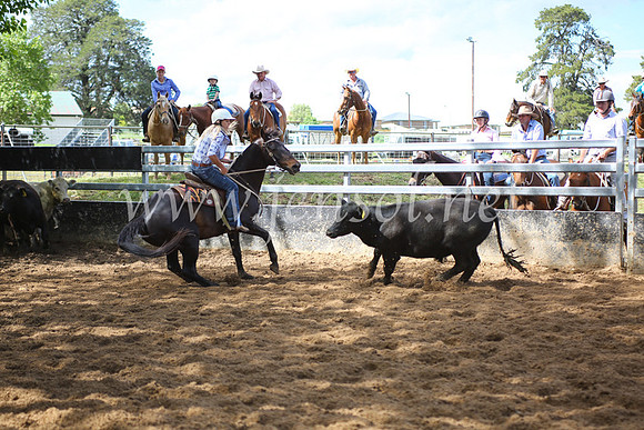 OrangeCampdraft5D_4020