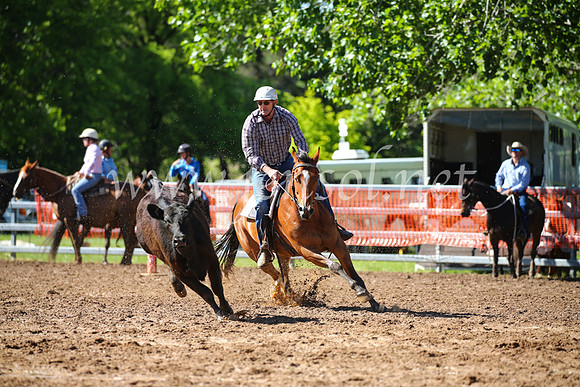 OrangeCampdraft2016_2209