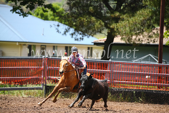 OrangeCampdraft2016_2893